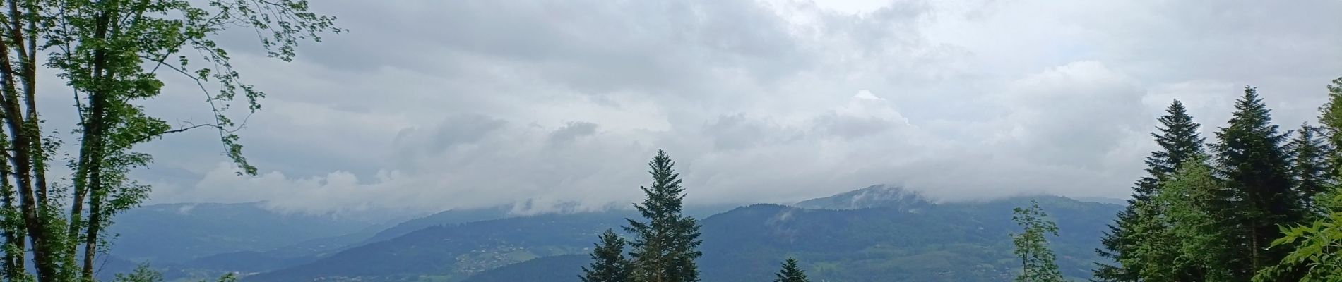 Tour Wandern Thiéfosse - circuit col de xiard chalet de la vrille par tourbière  - Photo