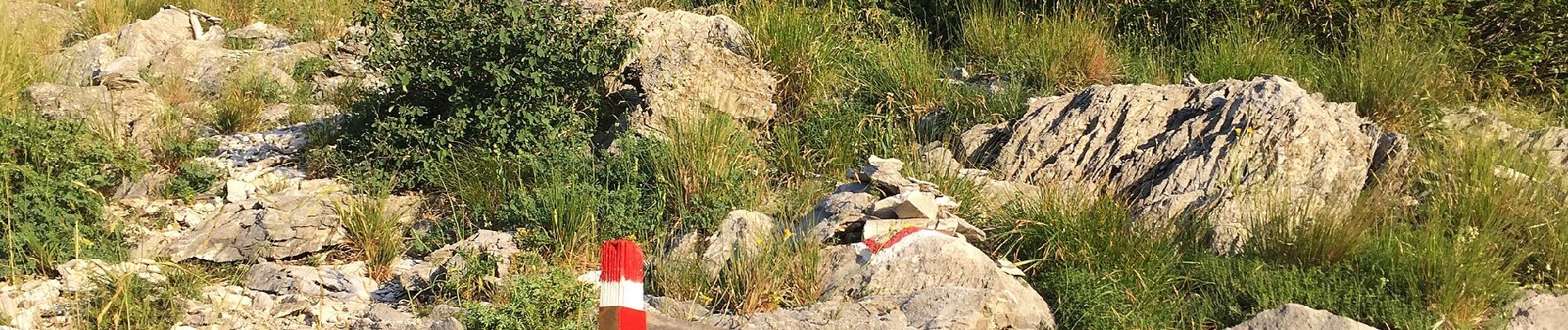 Tocht Te voet Vagli Sotto - Garfagnana Trekking - Tappa 4 - Photo