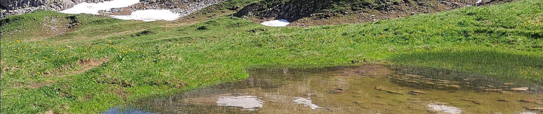 Randonnée Marche Le Reposoir - Lac peyre partiel - Photo