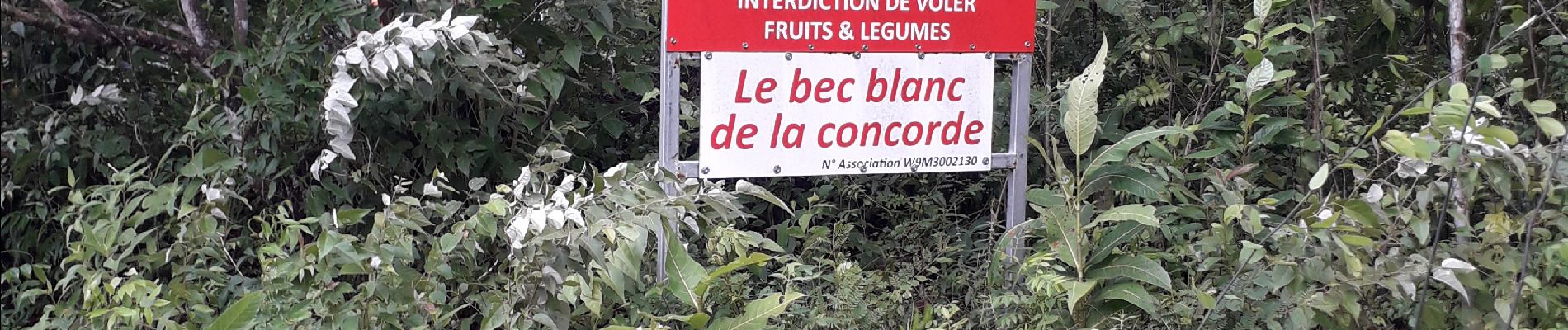 Excursión Senderismo Les Trois-Îlets - pagerie en boucle - Photo