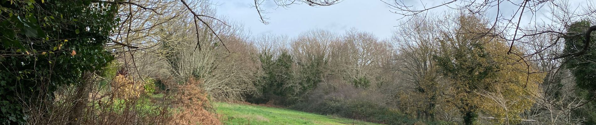 Randonnée Marche Moëlan-sur-Mer - Belon 5,6 km - Photo