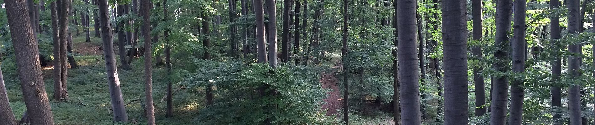 Tocht Te voet Bad Sooden-Allendorf - Rundwanderweg BSA 2 zum Schloss Rothestein - Photo