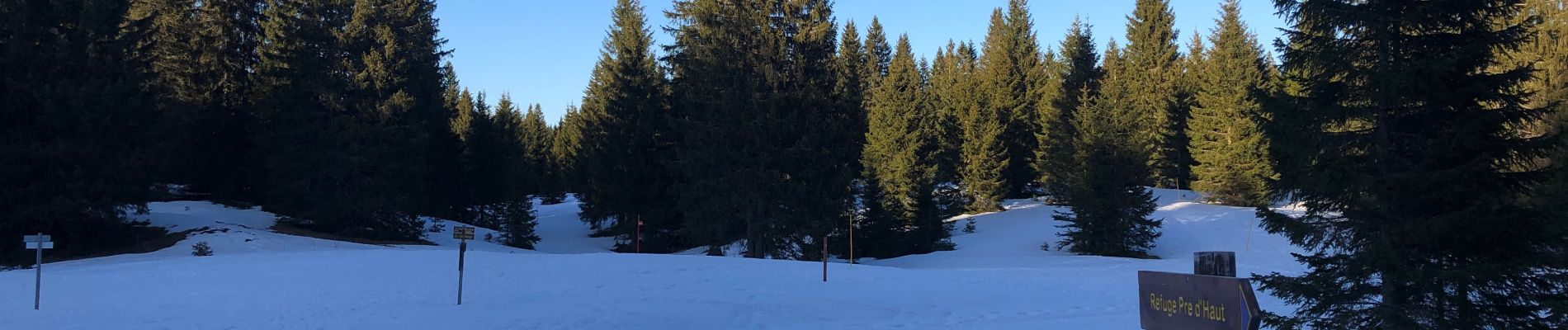 Tour Schneeschuhwandern Châtelblanc - 13 11 20 Jura - Photo