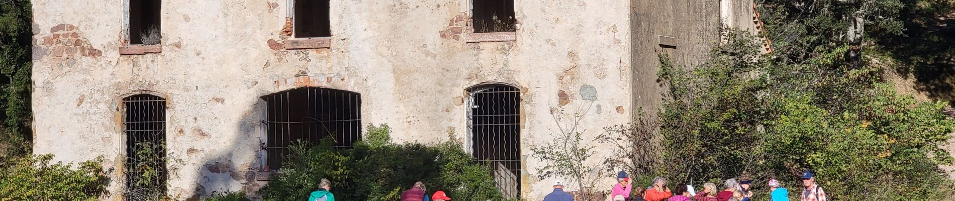 Randonnée Marche Saint-Raphaël - La Baïsse des Charretiers - Photo