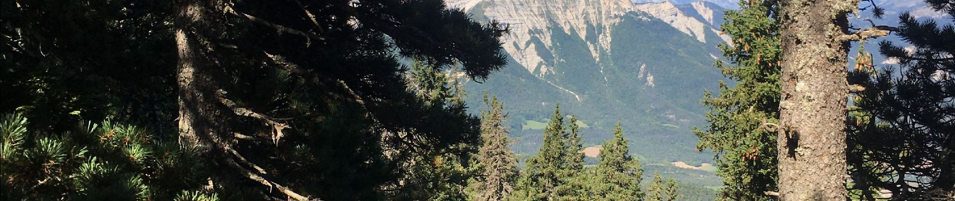 Tour Wandern Châtillon-en-Diois - Combau cretes versant Est - Photo