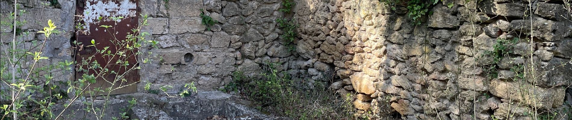 Excursión Senderismo Vernègues - PF-Vernègues - Boucle dans le passé antique de Vernègues - Photo