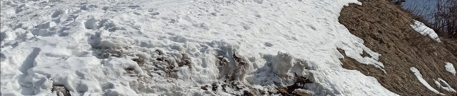 Tour Schneeschuhwandern Abriès-Ristolas - Le Roux- Valpréveyre  - Photo