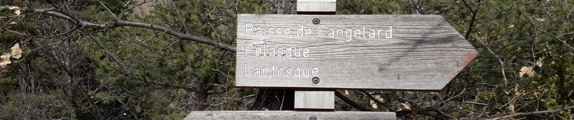 Tour Wandern Lantosque - pointe de colla bassa - Photo