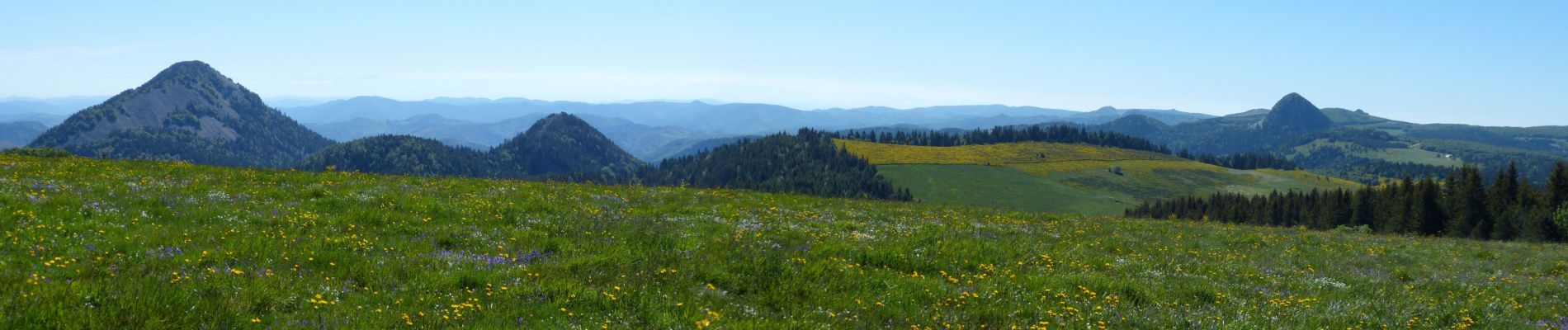 Trail Walking Saint-Martial - Tour des sucs :Sepoux-Seponet-Sommet Lauziére-Taupernas - Photo