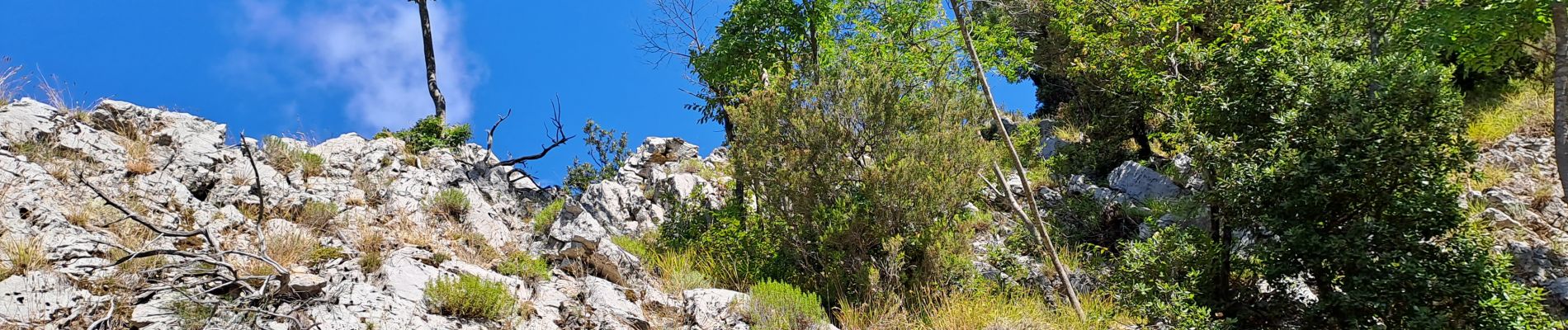 Trail Walking Bagni di Lucca - Aller-retour Vico Pancellorum - Schiena d'Asino - Photo