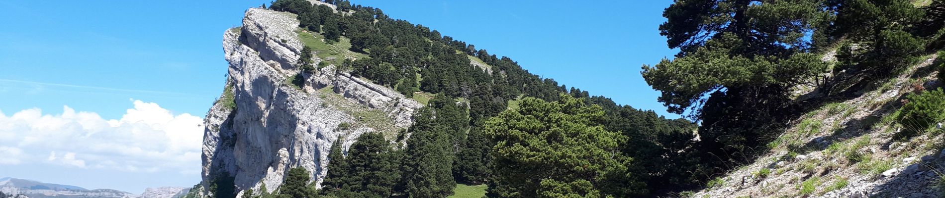 Tocht Stappen Romeyer - Dieois - Rochers de plautret - Jul20 - Photo