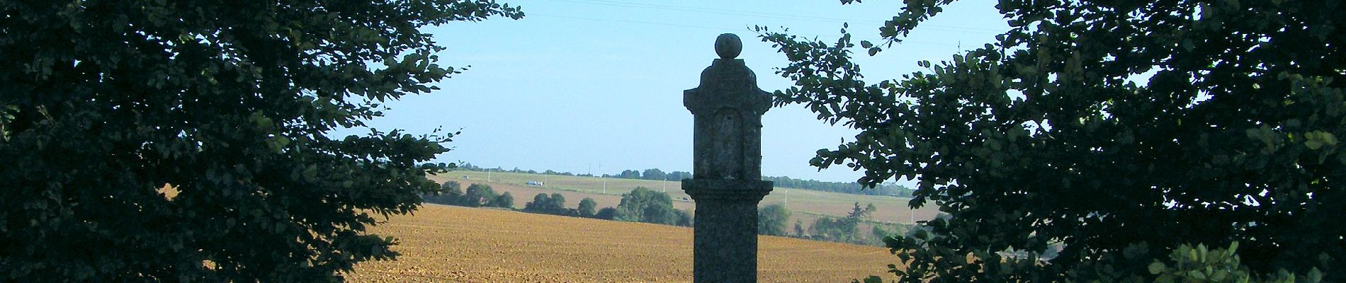 Randonnée A pied Fernelmont - Balade du Chant d'Oiseau - Photo