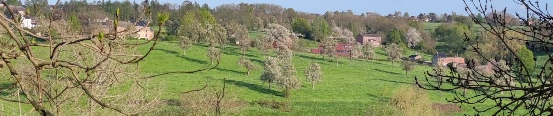 Randonnée Marche Blegny - A la découverte de Blegny  - Photo