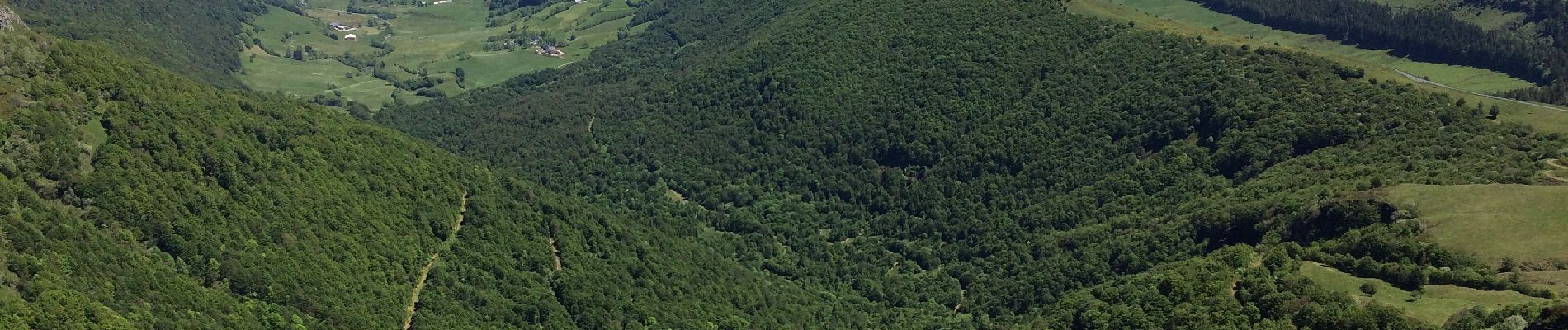 Tocht Stappen Le Falgoux - Puy mary  - Photo