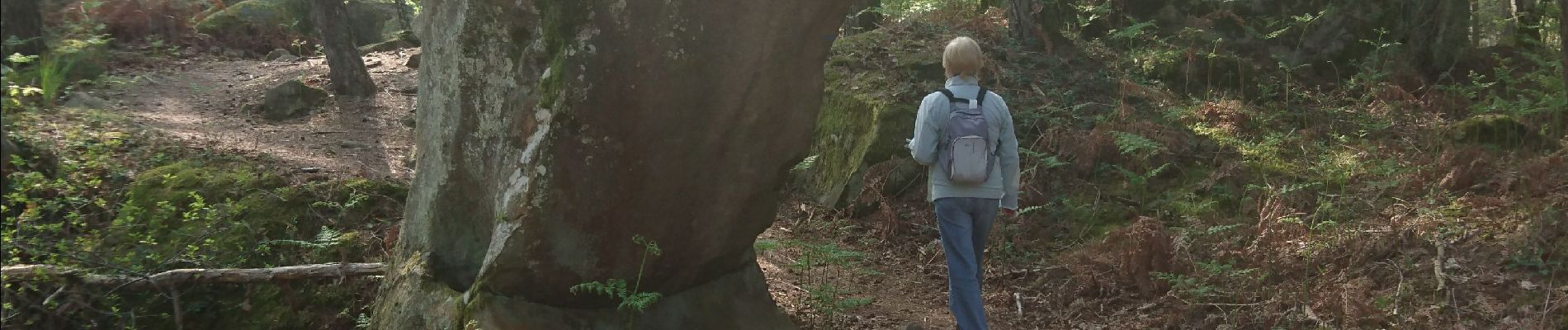 Randonnée Marche Fontainebleau - butte à guay - Photo