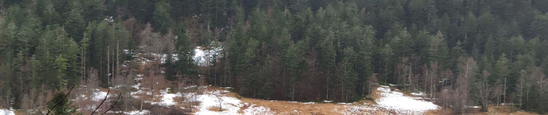 Randonnée Marche Wildenstein - Vosges 2020 : col de Bramont - Rainkopf (2020-12-20).ori - Photo