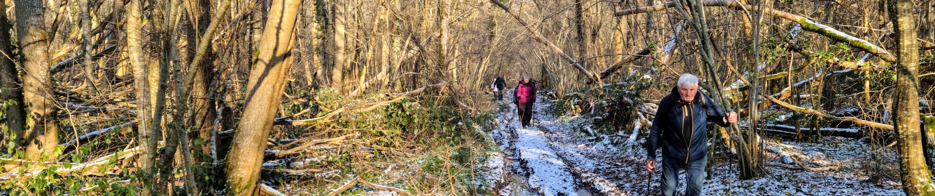 Tocht Stappen Essômes-sur-Marne - Essômes sur Marne du 11-01-2024 - Photo