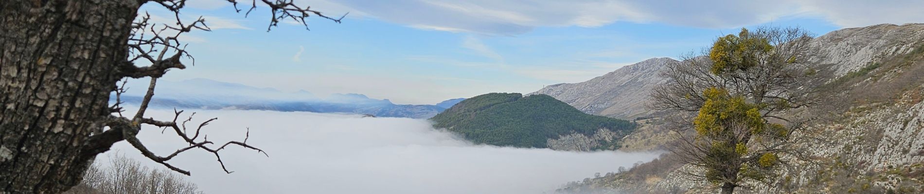 Trail Walking Coursegoules - Coursegoule, Sommets Vierou et Prêt  - Photo