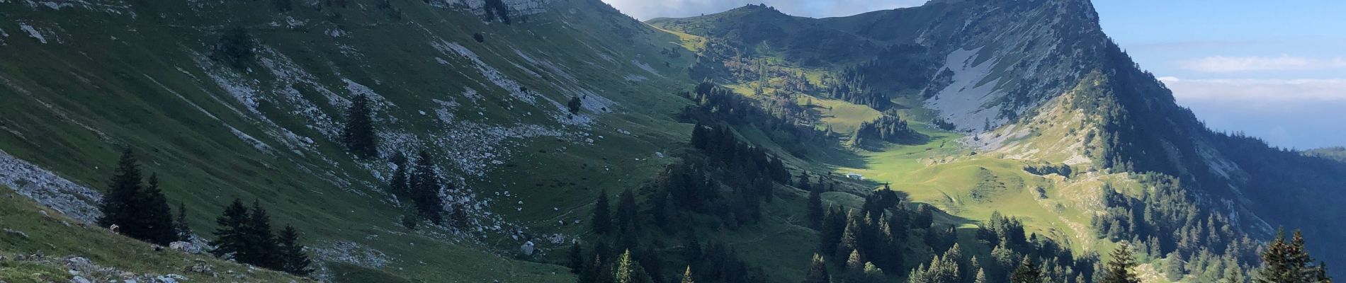 Tour Wandern Saint-Pierre-de-Chartreuse - Col de la petite vache   Grande Sûre  Col d’hurtière  - Photo