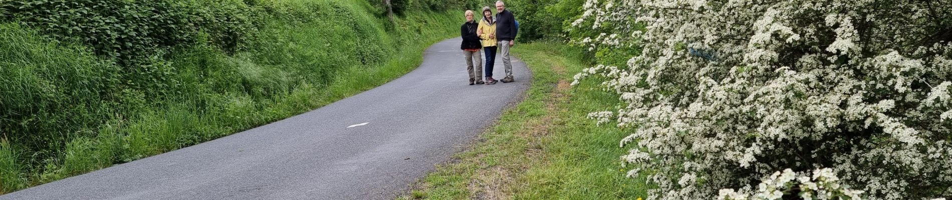 Tour Wandern Alleyras - Vallées 2 - Photo