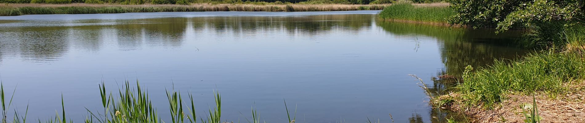 Randonnée Marche Steenockerzeel - Steenokkerzeel - Photo