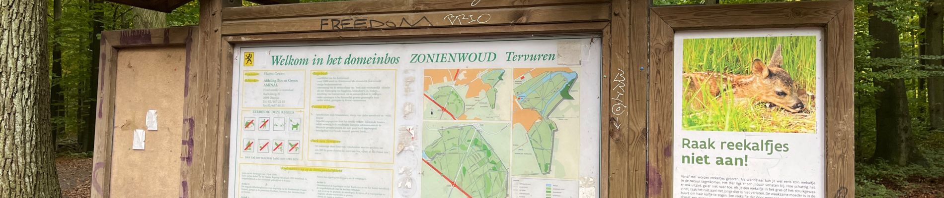 Tour Wandern Tervuren - Quatre bras - Photo