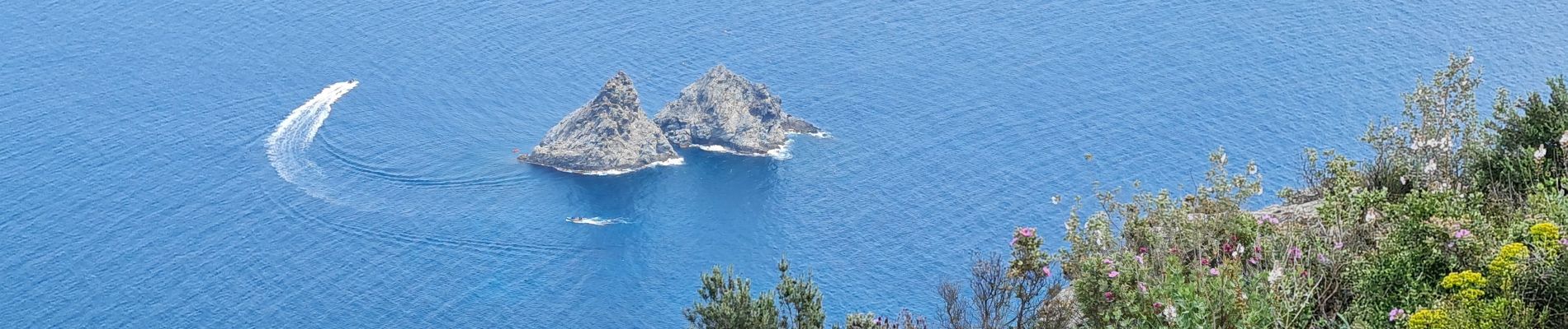 Randonnée Marche La Seyne-sur-Mer - Janas Sicié - Photo