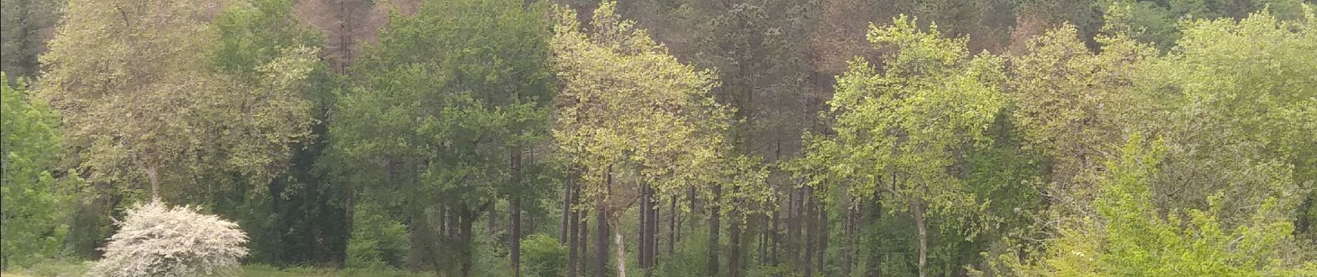 Tocht Stappen Urrugne - Sentier des mulets  - Photo