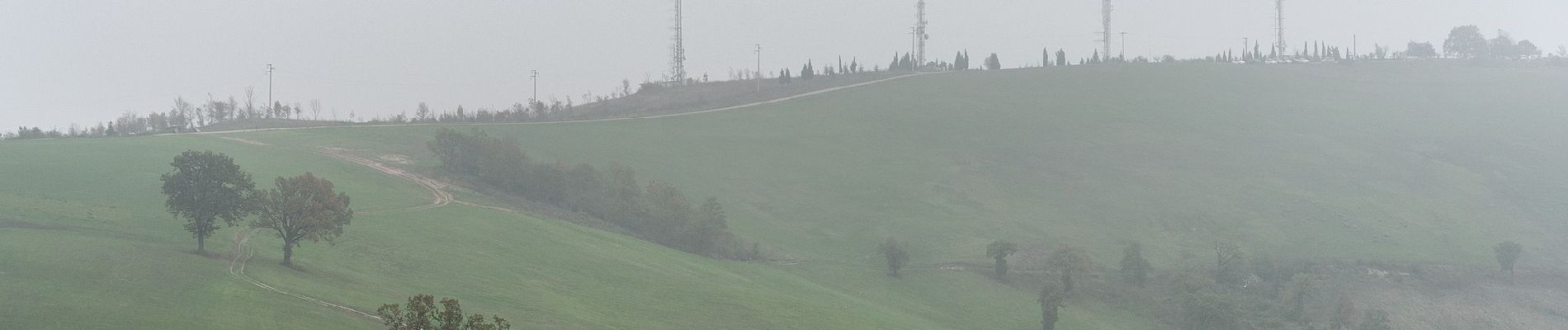 Tocht Te voet Scandiano - Anello di Ca' de Caroli - Photo