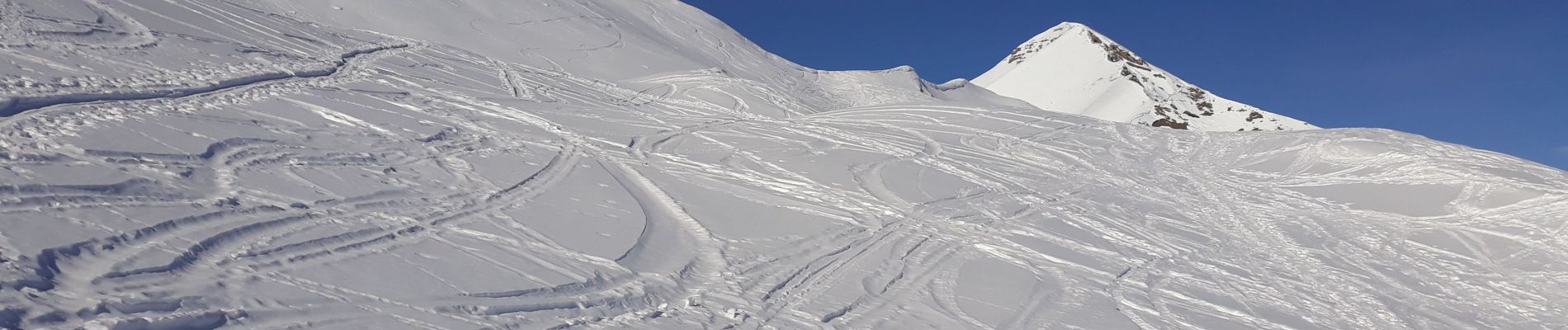 Trail Touring skiing Orcières - les Archinard - la grande Autane - Photo