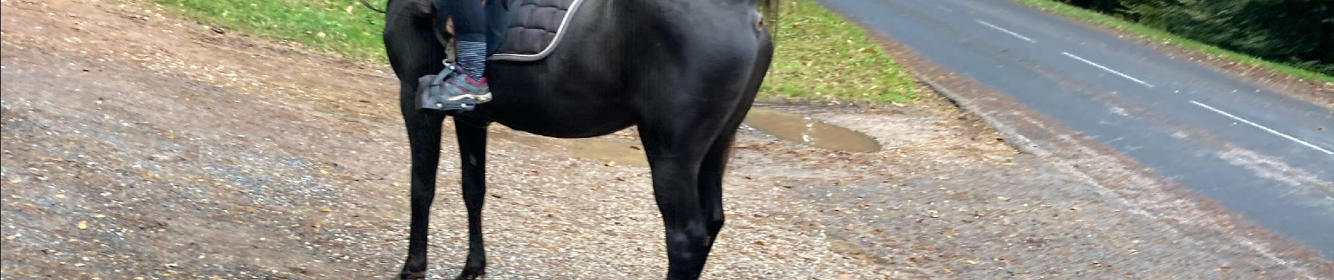 Tour Reiten Badenweiler - Kalio Joyeux chapelotte grotte des poilus - Photo