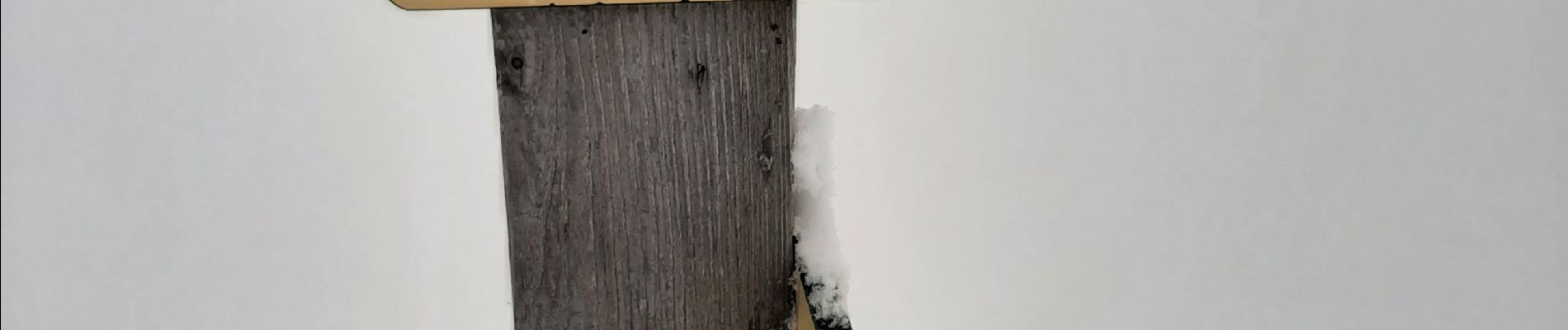 Tocht Sneeuwschoenen Glières-Val-de-Borne - GLIERES: PAS DU LOUP RAQUETTES - Photo