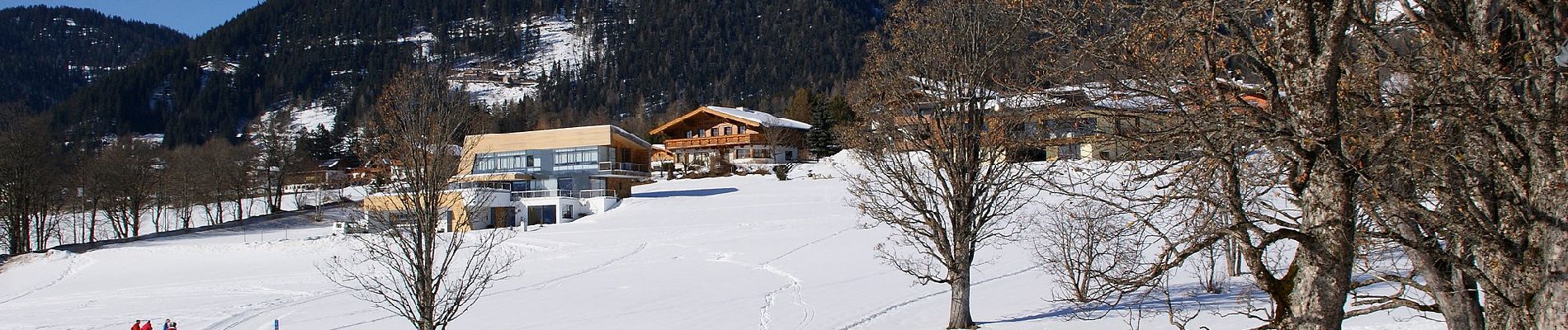 Excursión A pie Ramsau am Dachstein - Kulmberg Rundweg 