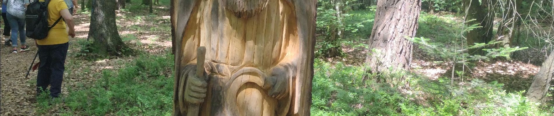 Tour Wandern Bellême - de belleme a l'etang de la herse - Photo