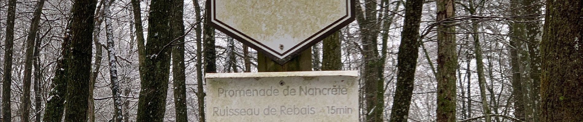 Trail Walking Vresse-sur-Semois - Alle - bois de Falijule - Mouzaive - Alle - Photo