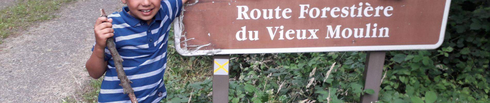 Trail Walking Bagnoles-de-l'Orne-Normandie - Route forestière du vieux moulin  - Photo