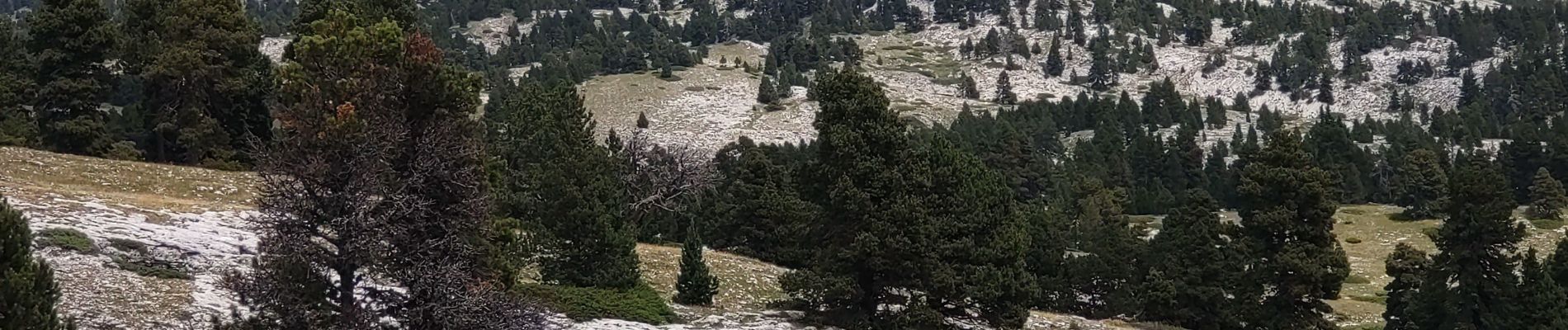 Excursión Senderismo Romeyer - pas des Bachassons/Chabrinelle-Romeyet - Photo