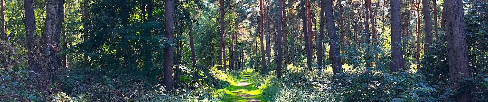 Tocht Te voet Kamp-Lintfort - Leucht Rundweg A6 - Photo