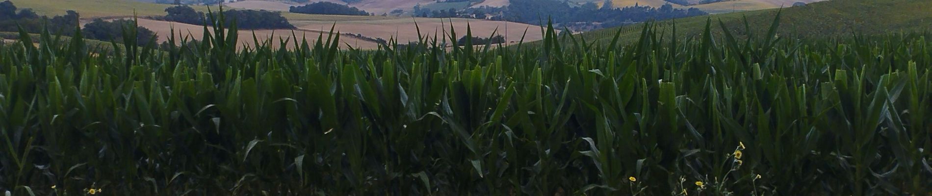 Tour Wandern Montferrand - balade autour de Montferrand  - Photo