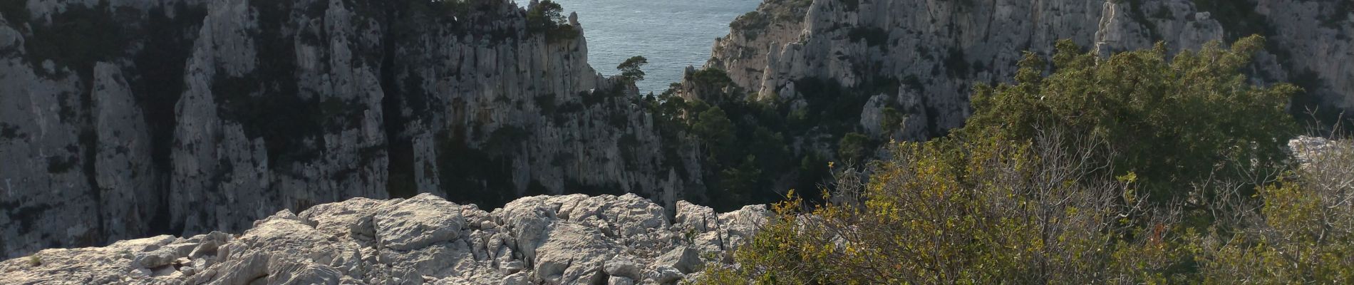 Trail Walking Cassis - Cassis, les trois calanques, la pomme de pin (cacau), le trou du souffleur... - Photo