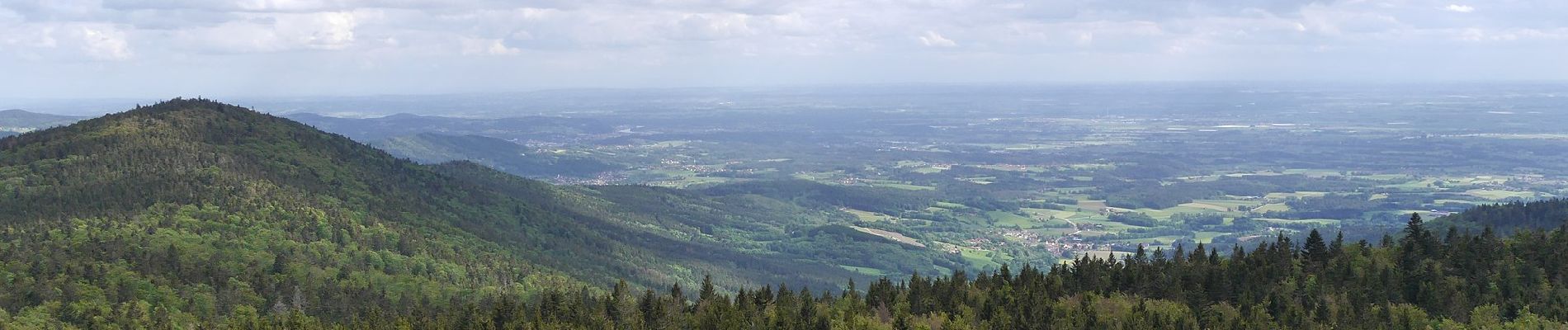 Excursión A pie Achslach - Ferienregion Hirschenstein Rundwanderweg Nr. 4 - Photo