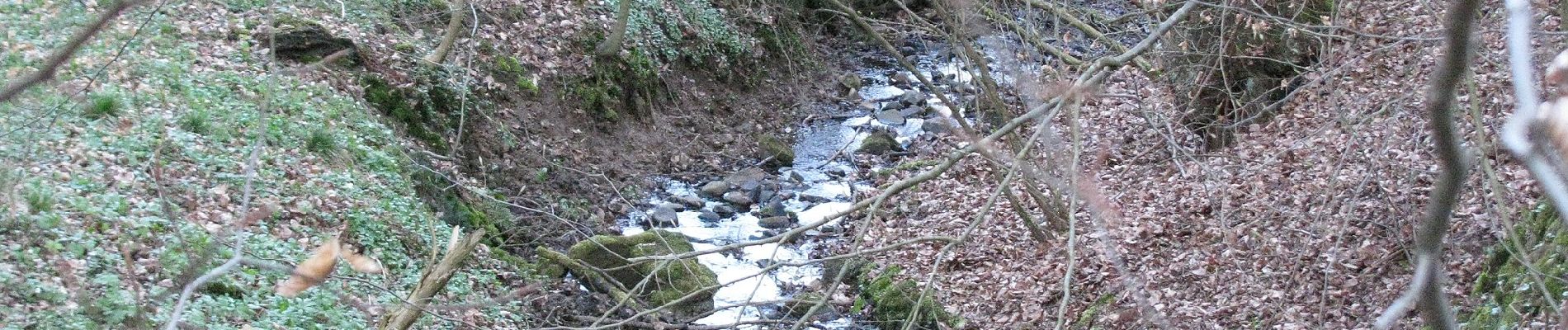 Excursión A pie Desconocido - Kassel, Rundweg 22 - Photo