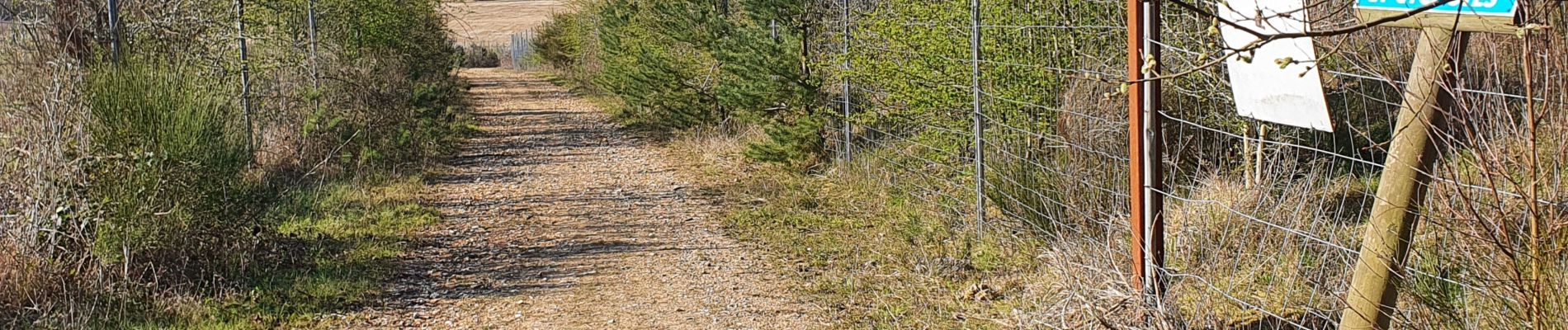 Tour Wandern Terres de Bord - rando du 19 mars 2021 - Photo