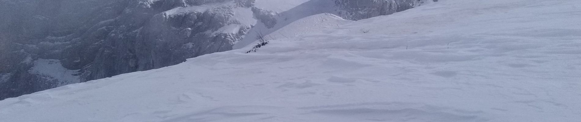 Tocht Ski randonnée Villard-de-Lans - Ric du Cornafion et Rocher de l'ours - Photo