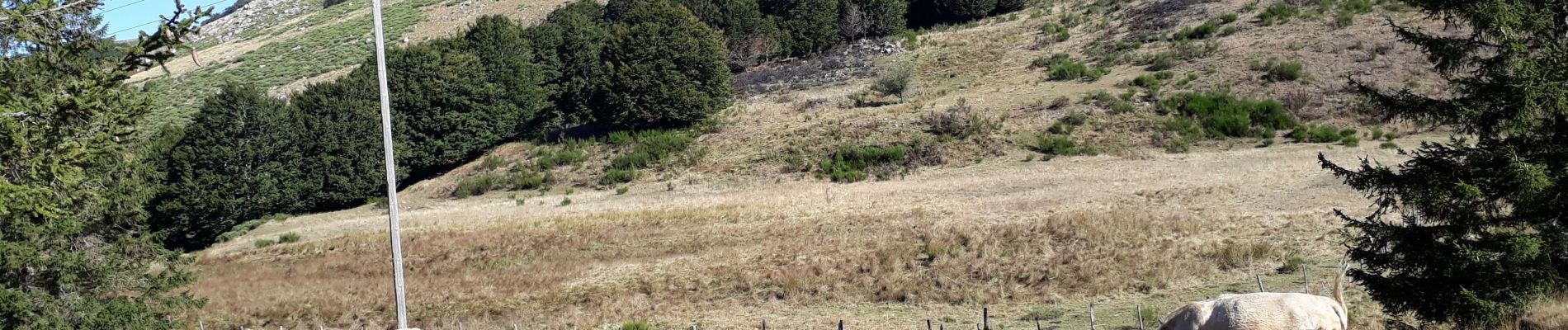 Tour Wandern Saint-Sauveur-Camprieu - rando du bonheur - Photo