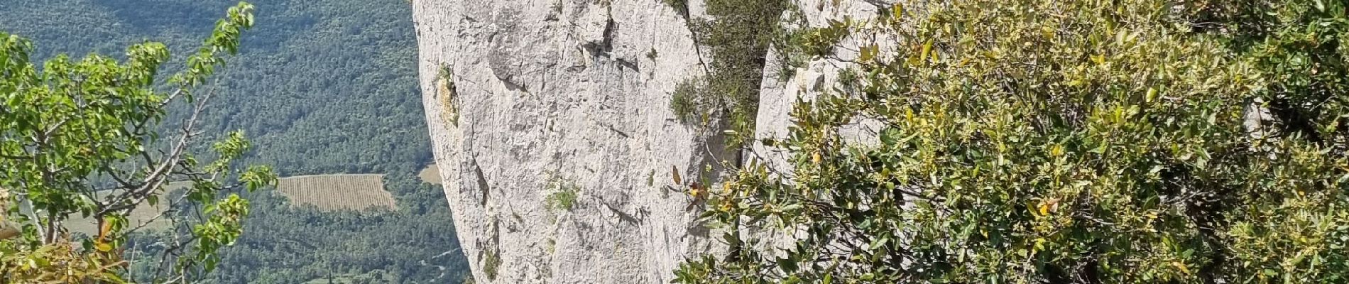 Tocht Stappen Rouet - La corniche de l'Hortus - Photo