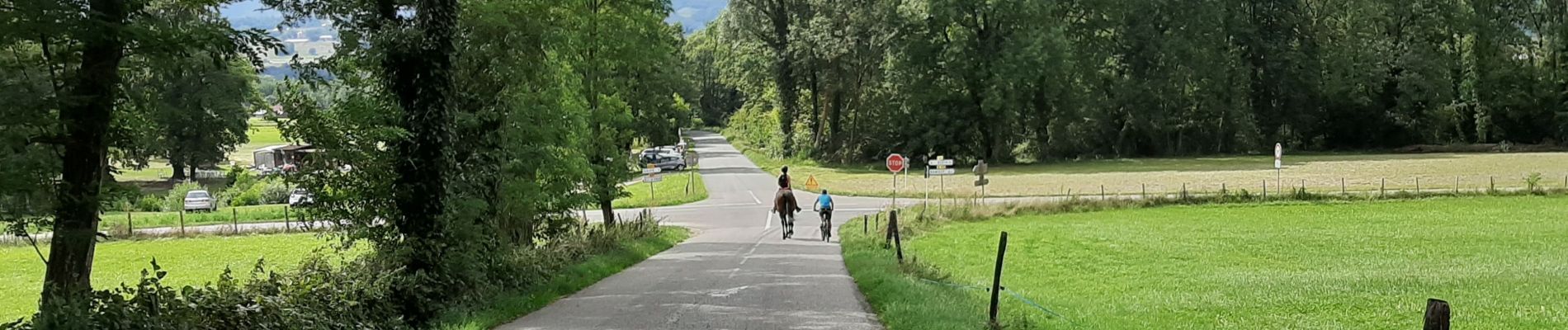Trail Horseback riding Entrelacs - Crosagny 15.08.2019 - Photo