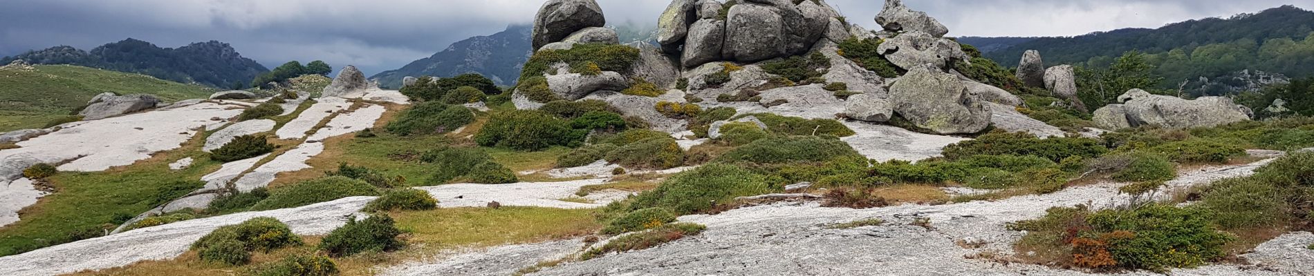 Trail Walking Zicavo - Corse - Boucle de l'aconit depuis Bergerie de Basseta - Photo