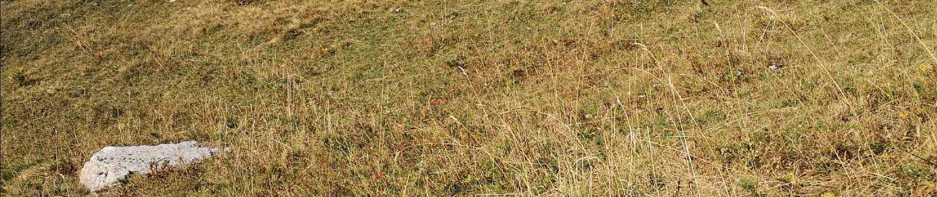 Tocht Noords wandelen Arbaz - pas de Maimbré  - Photo