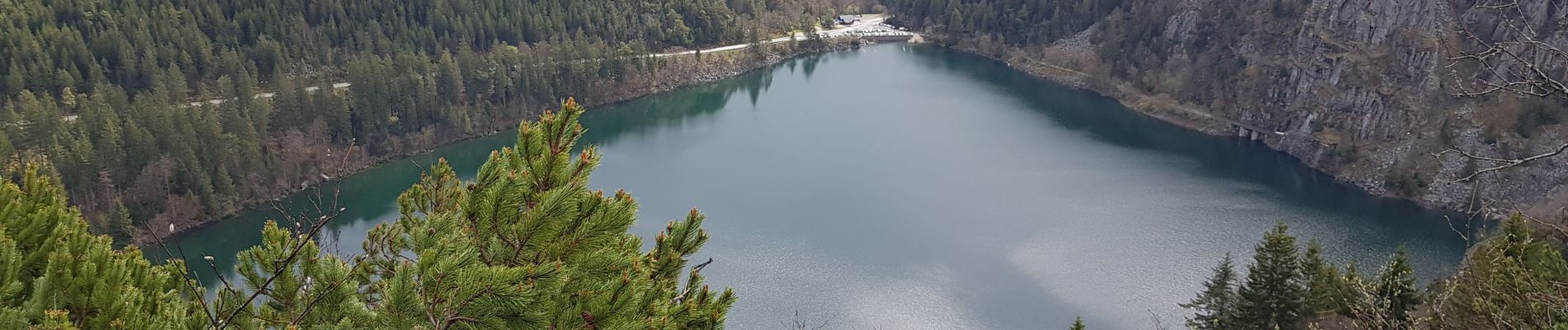 Excursión Senderismo Orbey - lac blanc col du calvaire - Photo